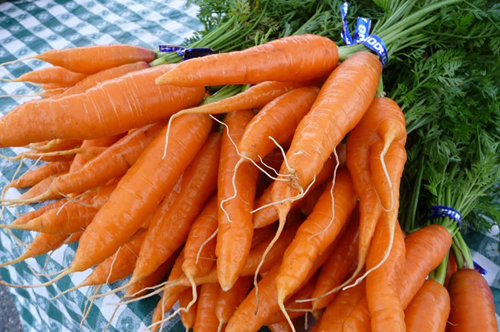 Ăn nhiều cà rốt phòng bệnh thoái hóa điểm vàng
