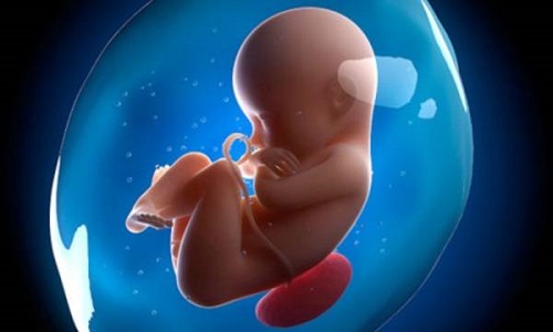 Các mẹ nên chú ý thời điểm đi siêu âm cho thai nhi